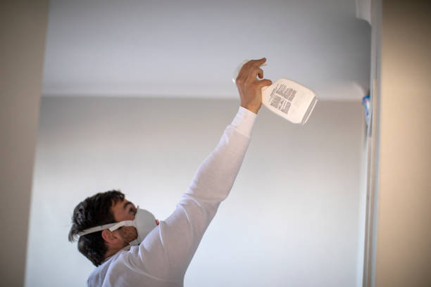 Attic Mold Removal in Watkins Glen, NY