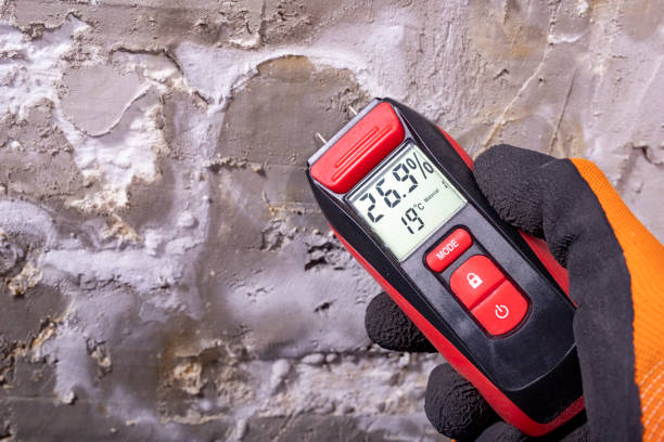 Best Residential Mold Removal  in Watkins Glen, NY
