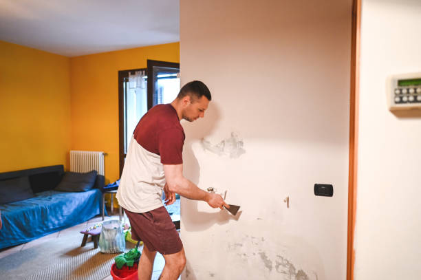 Best Attic Mold Removal  in Watkins Glen, NY